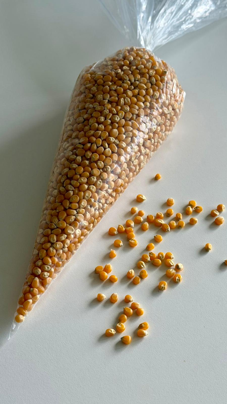 Popcorn Kernels “Mushroom” 1 kg - Image 4