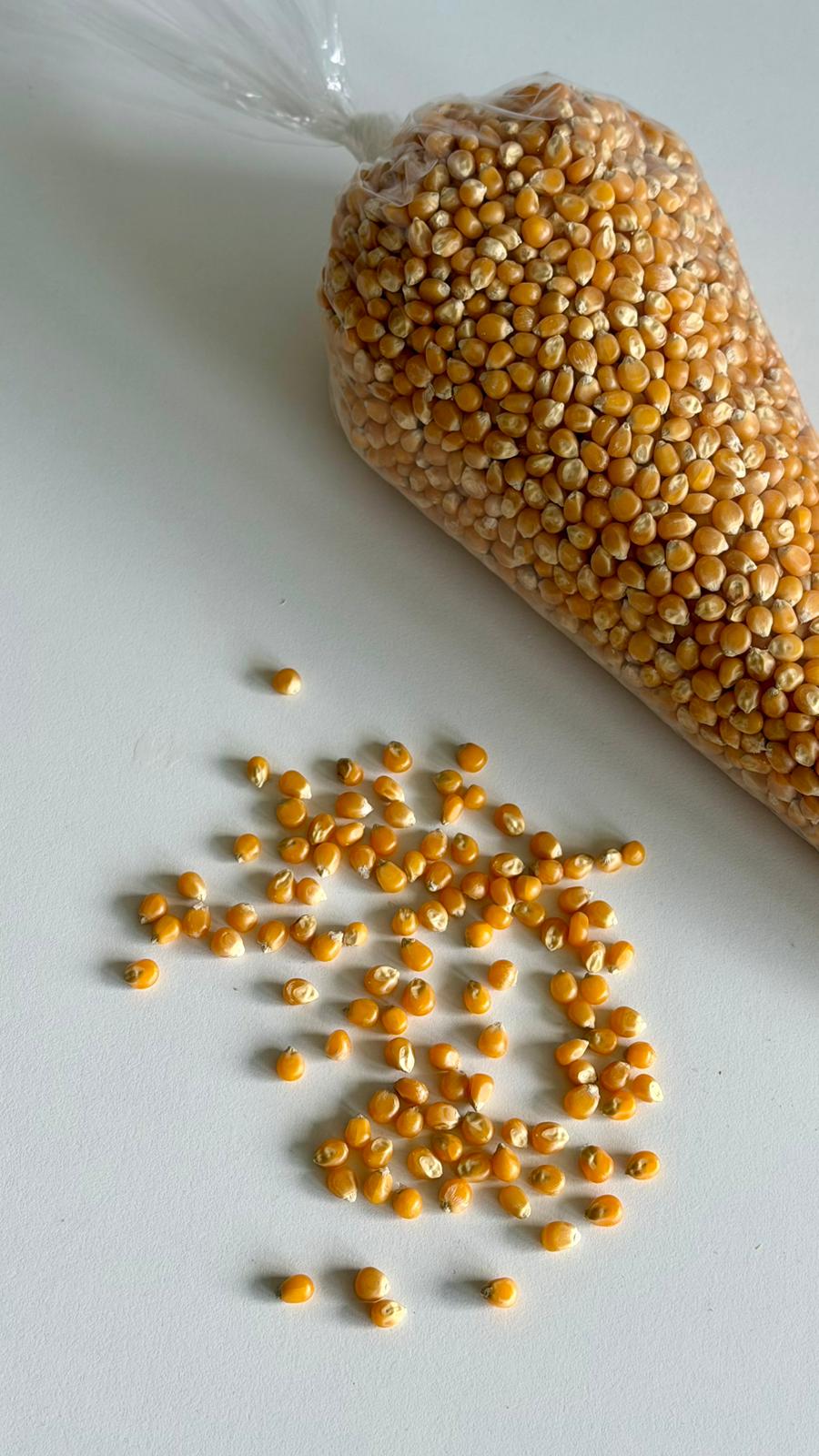 Popcorn Kernels “Mushroom” 1 kg - Image 5